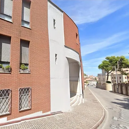 Loft Jungle - Caseta *